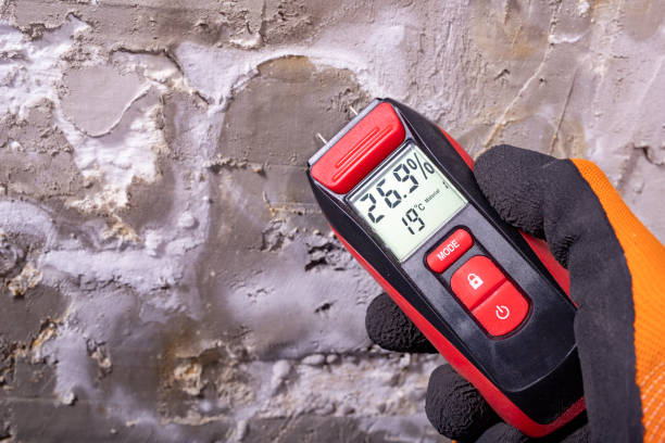 Best Crawl Space Mold Removal  in Wolf Creek, UT