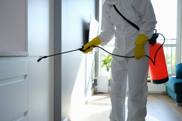 Best Office Mold Removal Services  in Wolf Creek, UT